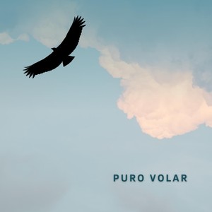 Puro Volar