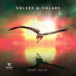 Volere & Volare (Explicit)