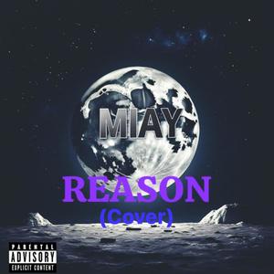 Reason (Radio Edit|Explicit)