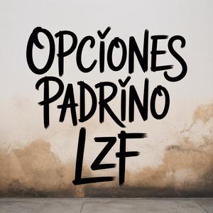 Opciones
