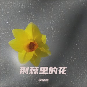 荆棘里的花封面
