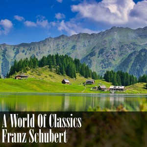 Sonata in C minor, D. 958 - I. Allegro