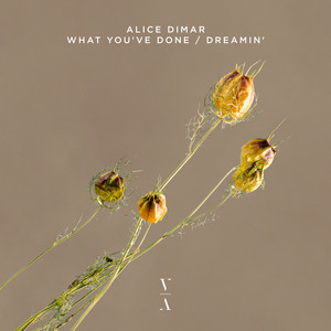 What You've Done (Extended Mix)