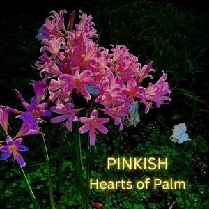 Hearts of Palm