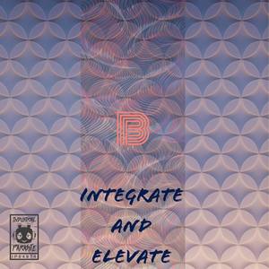 Integrate And Elevate