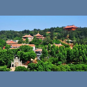 少林寺禅武-林庭龙