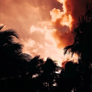 能不能再靠近你一些