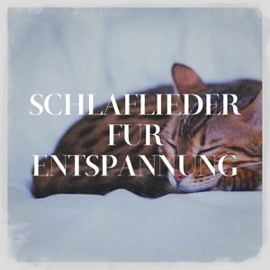 Schlaflieder Für Entspannung