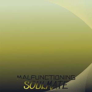 Malfunctioning Soulmate