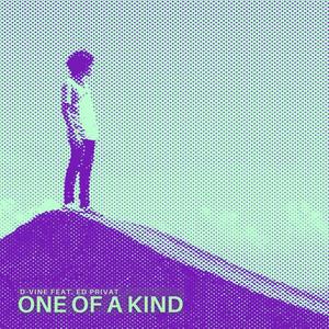 One Of A Kind(feat. Ed Privat) (Explicit)