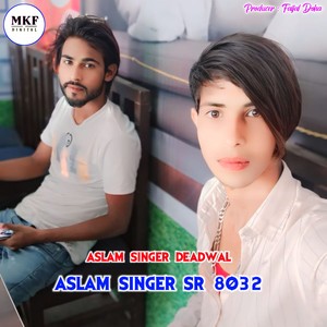 Aslam Singer SR 8032