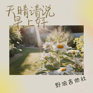 在阳光的午后醒来