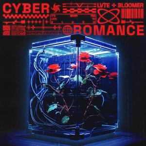 CYBER ROMANCE (Explicit)