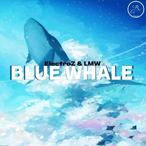 Blue Whale