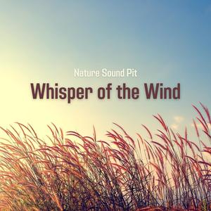 Whisper of the Wind