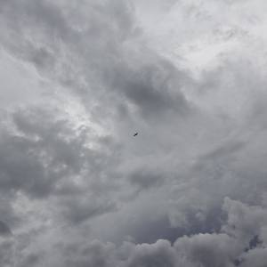 magnolia+说句实话