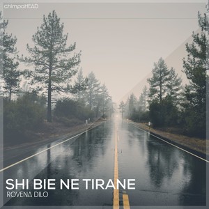 Shi Bie Ne Tirane(Endry DJ Remix)