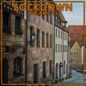 Lock Down Vol. 13