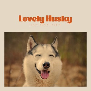 Lovely Husky