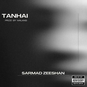 Tanhai (feat. prod.malang) (Explicit)
