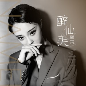 醉仙美 (DJ.Gary龙少版)封面