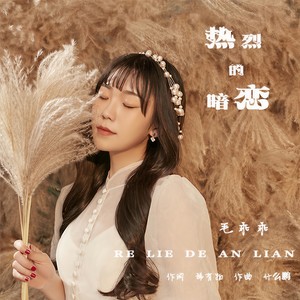 热烈的暗恋 (伴奏)