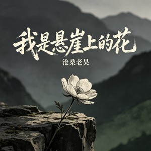 我是悬崖上的花（我爱的人没陪我到最后）-沧桑老吴