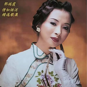 情系半生封面
