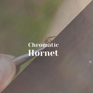 Chromatic Hornet