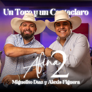 Un Toro y Un Cantaclaro (Afina2)