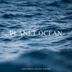 Soothing Ocean Waves