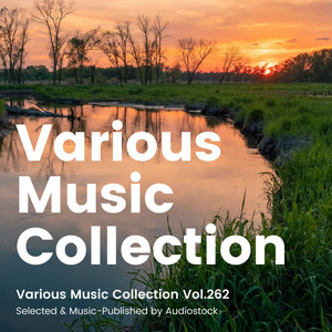 Various Music Collection Vol.262 -Selected & Music-Published by Audiostock-