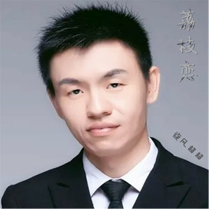 旋风超超《荔枝恋》