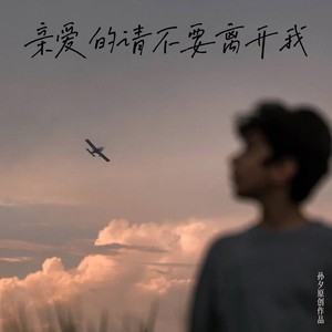 亲爱的请不要离开我 (伴奏)