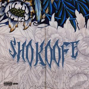 Shokoofe (feat. Mcip)