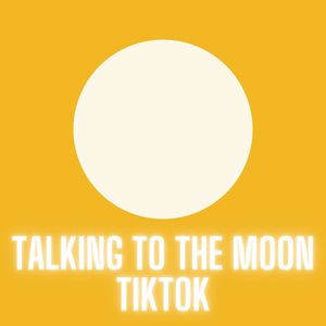 Talking To The Moon TikTok (Remix)