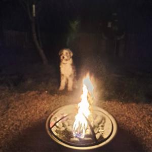 I Can See It In Her Eyes