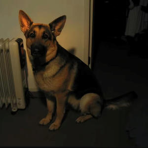 ateteen demo (feat. mercenarychild)