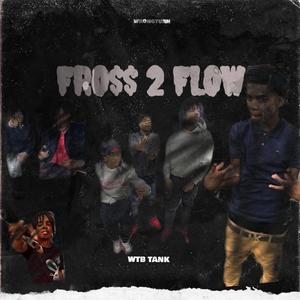 Fross 2 Flow (Explicit)