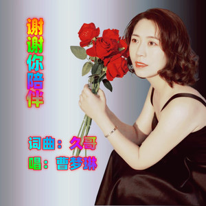 谢谢你陪伴 伴奏