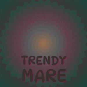 Trendy Mare