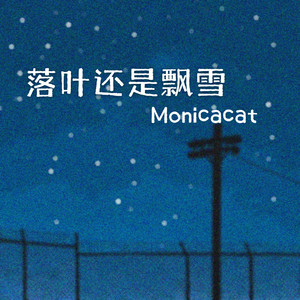 落叶还是飘雪 (伴奏)