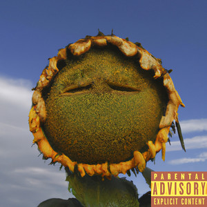 Up and Down (Explicit)