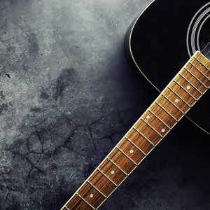 Peaceful Guitar Pets Enjoy