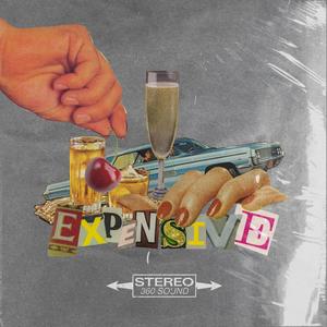 Expensive (feat. Heck Adaptive) (Explicit)