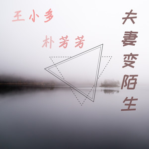 夫妻变陌生 (伴奏)