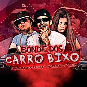 BONDE DOS CARRO BIXO