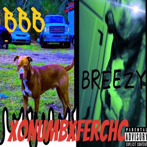 BIGBODYBREEZY (feat. XO NUMB) (Explicit)