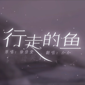 行走的鱼-嘉