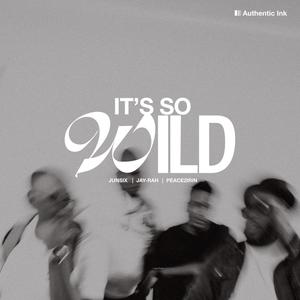 IT'S SO WILD (feat. peace2irin, jay-rah & junSix)